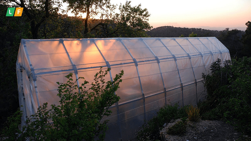 Trang bị các hệ thống và hoàn thiện nhà kính trồng dưa lưới